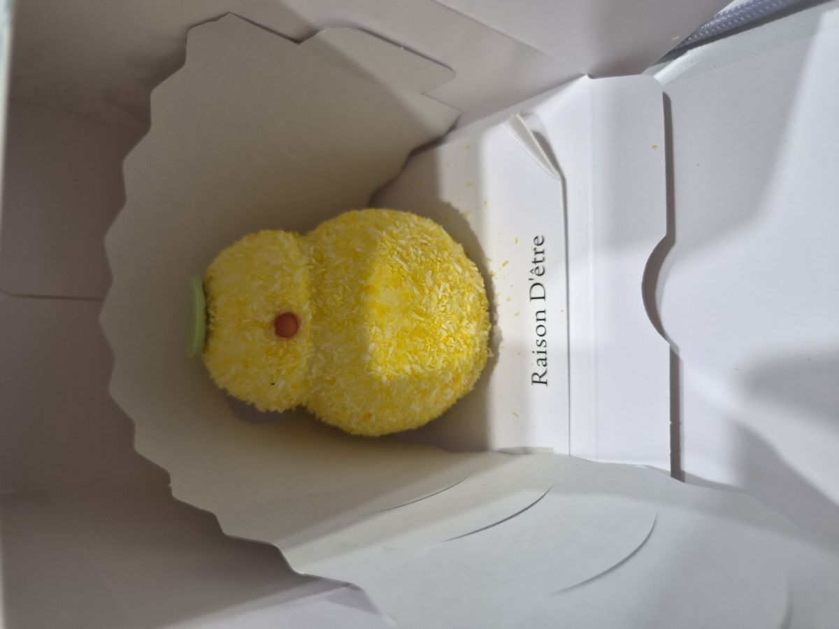 선물 사진